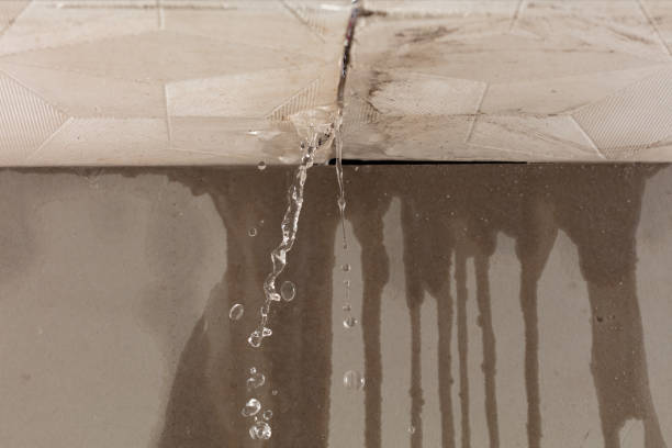 Professional Water Damage Repair technician working in Towson, MD